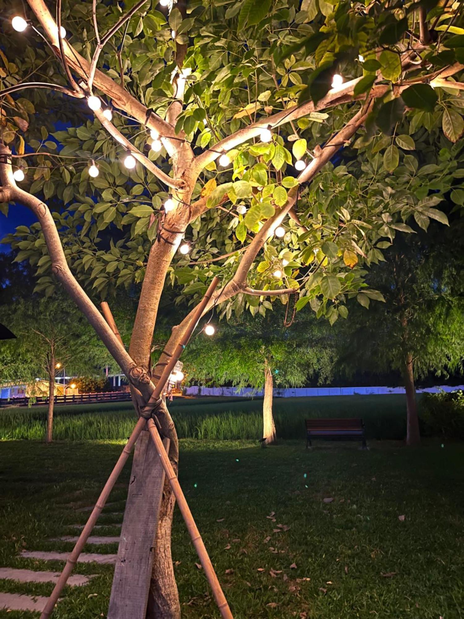Blue Sky Hill Homestay Guanshan Exterior photo
